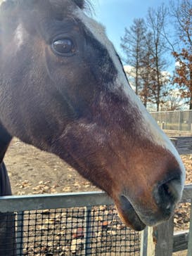 ノーザンホースパークに投稿された画像（2025/11/19）