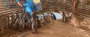 ゼロ距離水族館 伊勢シーパラダイスに投稿された画像（2025/11/19）