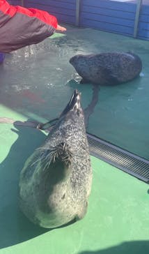 ゼロ距離水族館 伊勢シーパラダイスに投稿された画像（2025/11/19）