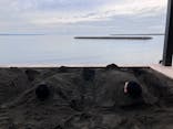 Sand SPA（別府海浜砂湯）に投稿された画像（2025/11/19）