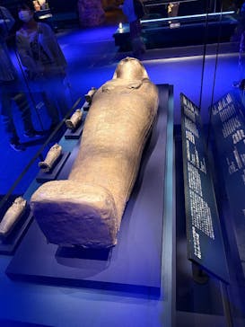 ACN ラムセス大王展 ファラオたちの黄金に投稿された画像（2025/11/19）