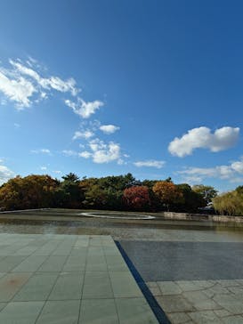豊田市美術館に投稿された画像（2025/11/19）