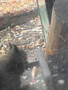 仙台うみの杜水族館に投稿された画像（2025/11/19）