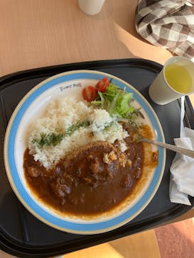 浜名湖パルパルに投稿された画像（2025/11/19）