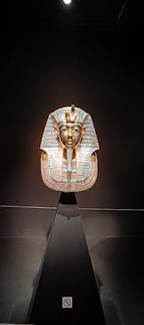 MYSTERY OF TUTANKHAMEN 体感型古代エジプト展に投稿された画像（2025/11/19）