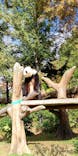 恩賜上野動物園に投稿された画像（2025/11/19）