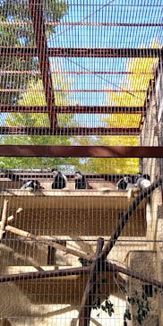 恩賜上野動物園に投稿された画像（2025/11/19）