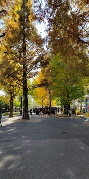 恩賜上野動物園に投稿された画像（2025/11/19）