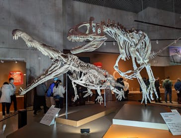 特別展「大絶滅展―生命史のビッグファイブ」に投稿された画像（2025/11/19）