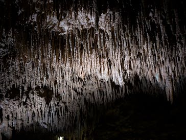 おきなわワールドに投稿された画像（2025/11/19）