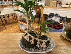 伊勢夫婦岩めおと横丁　めおと岩アクティビティに投稿された画像（2025/11/19）