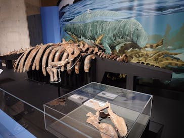 特別展「大絶滅展―生命史のビッグファイブ」に投稿された画像（2025/11/19）