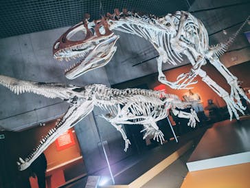 特別展「大絶滅展―生命史のビッグファイブ」に投稿された画像（2025/11/19）