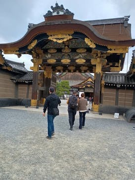 元離宮二条城に投稿された画像（2025/11/19）