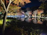 国営昭和記念公園 秋の夜散歩に投稿された画像（2025/11/19）