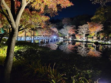 国営昭和記念公園 秋の夜散歩に投稿された画像（2025/11/19）
