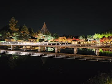 国営昭和記念公園 秋の夜散歩に投稿された画像（2025/11/19）