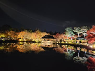 国営昭和記念公園 秋の夜散歩に投稿された画像（2025/11/19）