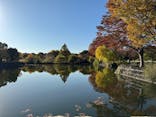 万博記念公園に投稿された画像（2025/11/19）