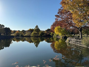 万博記念公園に投稿された画像（2025/11/19）
