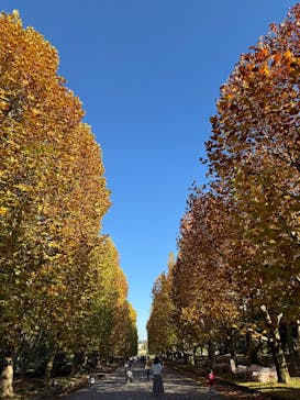 万博記念公園に投稿された画像（2025/11/19）