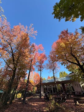 万博記念公園に投稿された画像（2025/11/19）