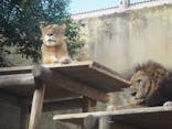 東武動物公園に投稿された画像（2025/11/19）