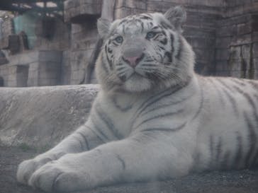 東武動物公園に投稿された画像（2025/11/19）