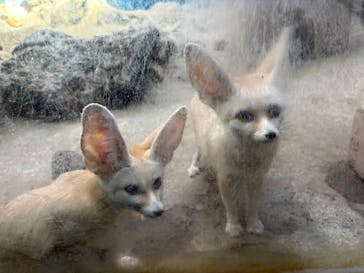 伊豆シャボテン動物公園に投稿された画像（2025/11/19）