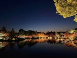 国営昭和記念公園 秋の夜散歩に投稿された画像（2025/11/19）