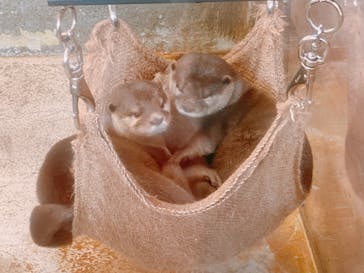 伊豆・三津シーパラダイスに投稿された画像（2025/11/19）