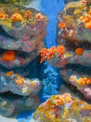 伊豆・三津シーパラダイスに投稿された画像（2025/11/19）