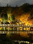 国営昭和記念公園 秋の夜散歩に投稿された画像（2025/11/19）