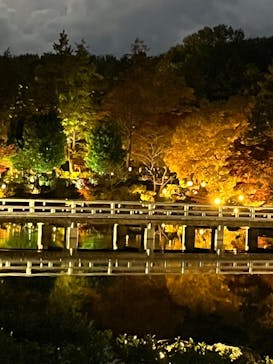 国営昭和記念公園 秋の夜散歩に投稿された画像（2025/11/19）