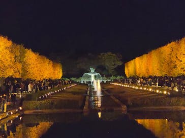 国営昭和記念公園 秋の夜散歩に投稿された画像（2025/11/19）