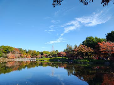 国営昭和記念公園 秋の夜散歩に投稿された画像（2025/11/19）