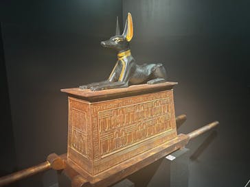 MYSTERY OF TUTANKHAMEN 体感型古代エジプト展に投稿された画像（2025/11/19）