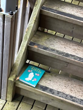 ニジゲンノモリに投稿された画像（2025/11/19）