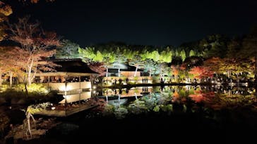 国営昭和記念公園 秋の夜散歩に投稿された画像（2025/11/19）