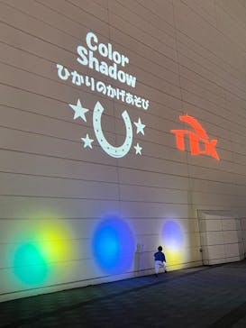 東京メガイルミに投稿された画像（2025/11/19）