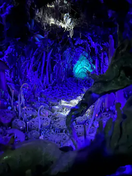 金曜ロードショーとジブリ展（静岡展）に投稿された画像（2025/11/19）