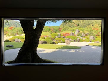 足立美術館に投稿された画像（2025/11/19）