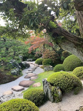 足立美術館に投稿された画像（2025/11/19）