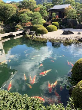 足立美術館に投稿された画像（2025/11/19）