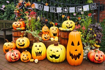 横浜イングリッシュガーデンに投稿された画像（2025/11/19）