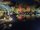 国営昭和記念公園 秋の夜散歩に投稿された画像（2025/11/20）