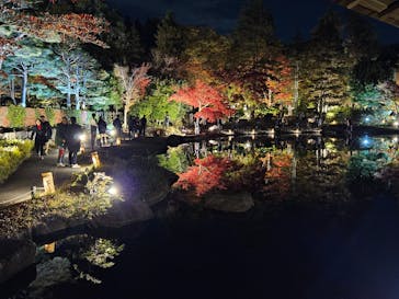 国営昭和記念公園 秋の夜散歩に投稿された画像（2025/11/19）