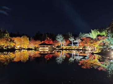 国営昭和記念公園 秋の夜散歩に投稿された画像（2025/11/19）