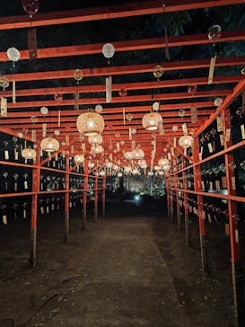 国営昭和記念公園 秋の夜散歩に投稿された画像（2025/11/19）