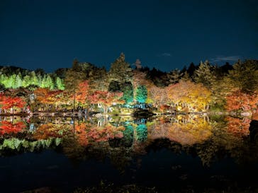 国営昭和記念公園 秋の夜散歩に投稿された画像（2025/11/20）